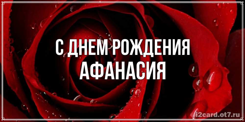 Открытка на каждый день с именем, Афанасия С днем рождения крупная бордовая роза Прикольная открытка с пожеланием онлайн скачать бесплатно 