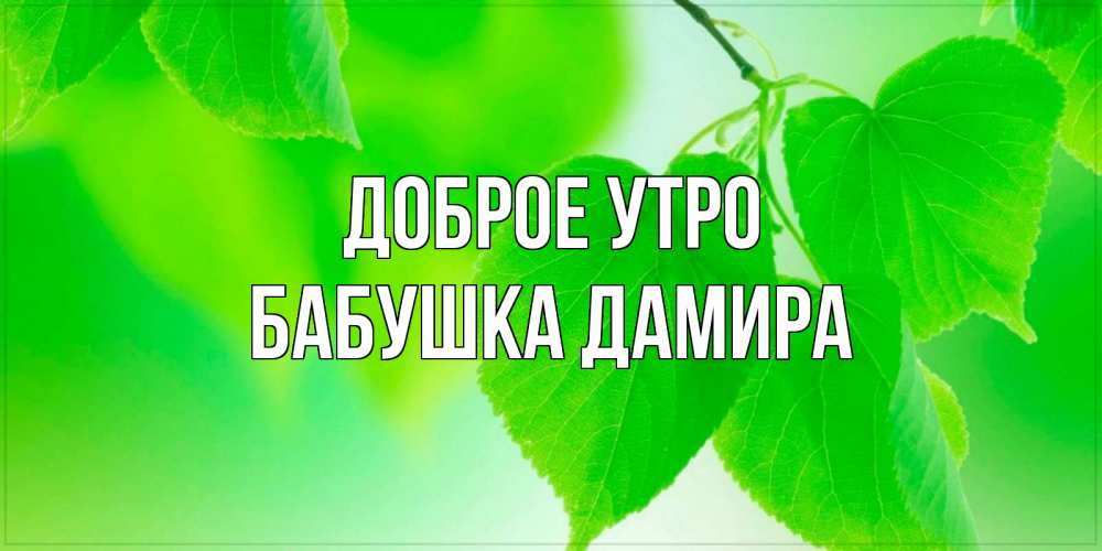 Открытка на каждый день с именем, Бабушка-Дамира Доброе утро доброе утро с березовыми листьями Прикольная открытка с пожеланием онлайн скачать бесплатно 
