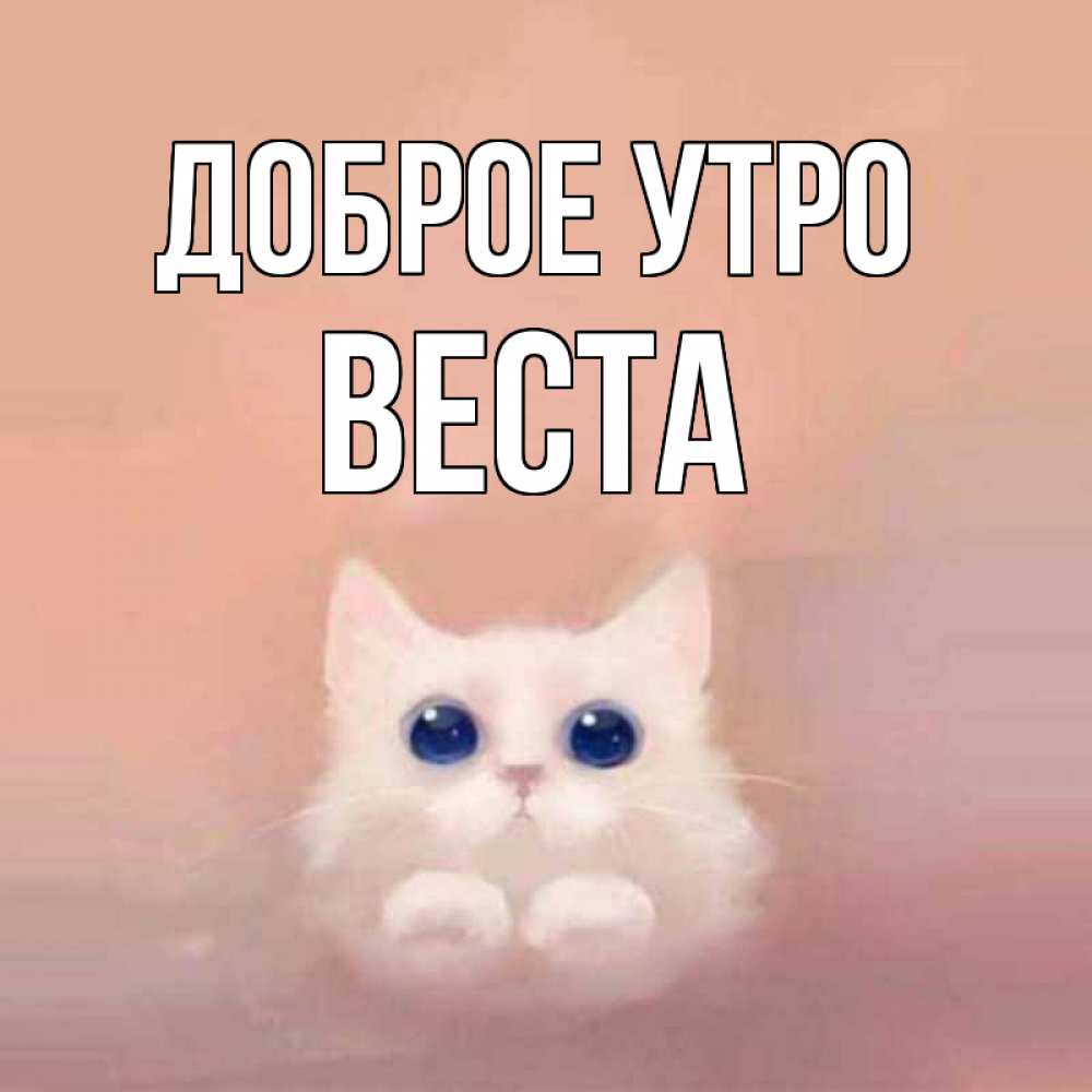 Открытка на каждый день с именем, Веста Доброе утро на розовом фоне Прикольная открытка с пожеланием онлайн скачать бесплатно 
