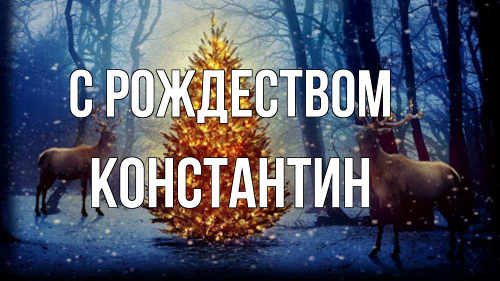 Открытка на каждый день с именем, Константин С рождеством олени, новогодняя елка Прикольная открытка с пожеланием онлайн скачать бесплатно 