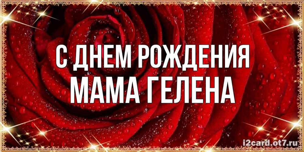 Открытка на каждый день с именем, Мама-Гелена С днем рождения роса на розе блестящая в лучах солнца Прикольная открытка с пожеланием онлайн скачать бесплатно 