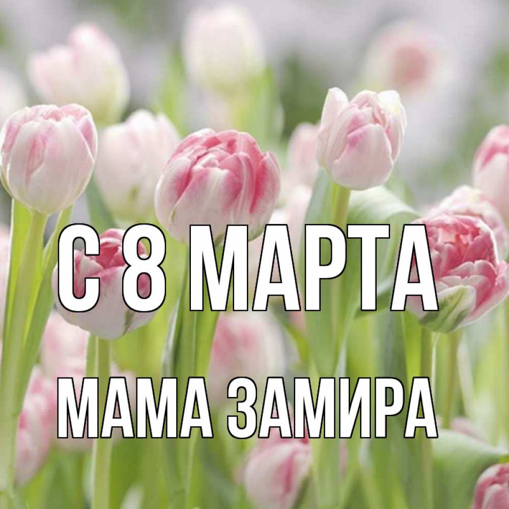 Открытка на каждый день с именем, Мама-Замира С 8 МАРТА цветы Прикольная открытка с пожеланием онлайн скачать бесплатно 