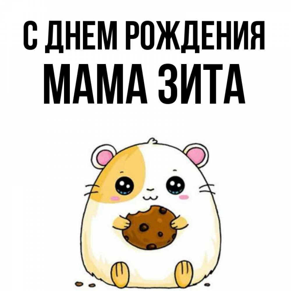 Открытка на каждый день с именем, Мама-Зита С днем рождения с днюхой Прикольная открытка с пожеланием онлайн скачать бесплатно 
