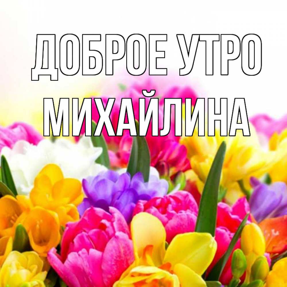 Открытка на каждый день с именем, Михайлина Доброе утро создать открытку со свое подписью Прикольная открытка с пожеланием онлайн скачать бесплатно 