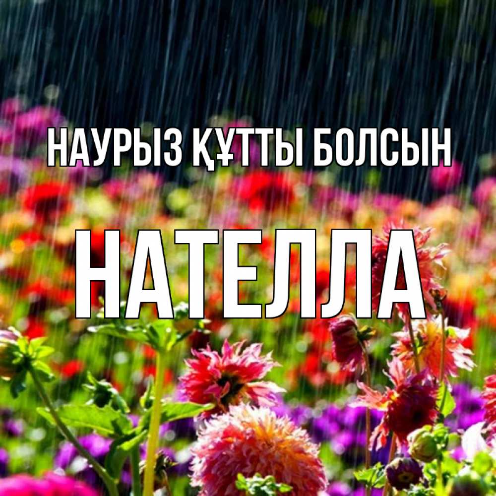 Открытка на каждый день с именем, Нателла Наурыз құтты болсын цветы под дождиком к наурызу Прикольная открытка с пожеланием онлайн скачать бесплатно 