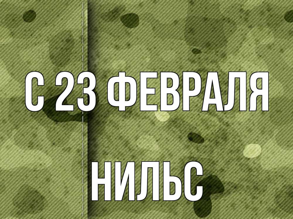 Открытка на каждый день с именем, Нильс С 23 февраля 23 февраля Прикольная открытка с пожеланием онлайн скачать бесплатно 