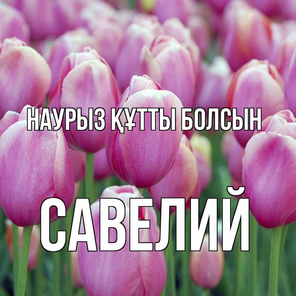 Открытка на каждый день с именем, Савелий Наурыз құтты болсын на наурыз  день 3 Прикольная открытка с пожеланием онлайн скачать бесплатно 