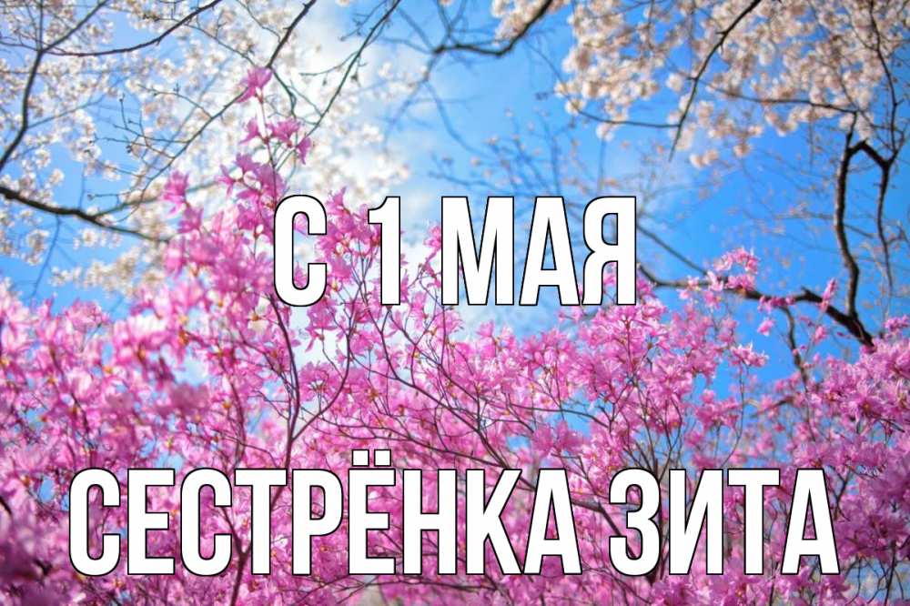 Открытка на каждый день с именем, Сестрёнка-Зита С 1 мая С 1 мая Прикольная открытка с пожеланием онлайн скачать бесплатно 
