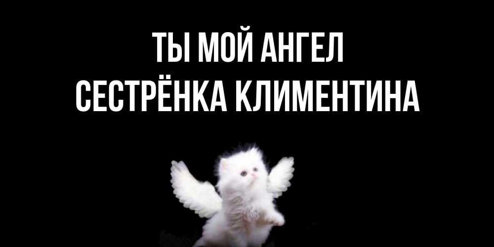 Открытка на каждый день с именем, Сестрёнка-Климентина Ты мой ангел Кот ангел Прикольная открытка с пожеланием онлайн скачать бесплатно 