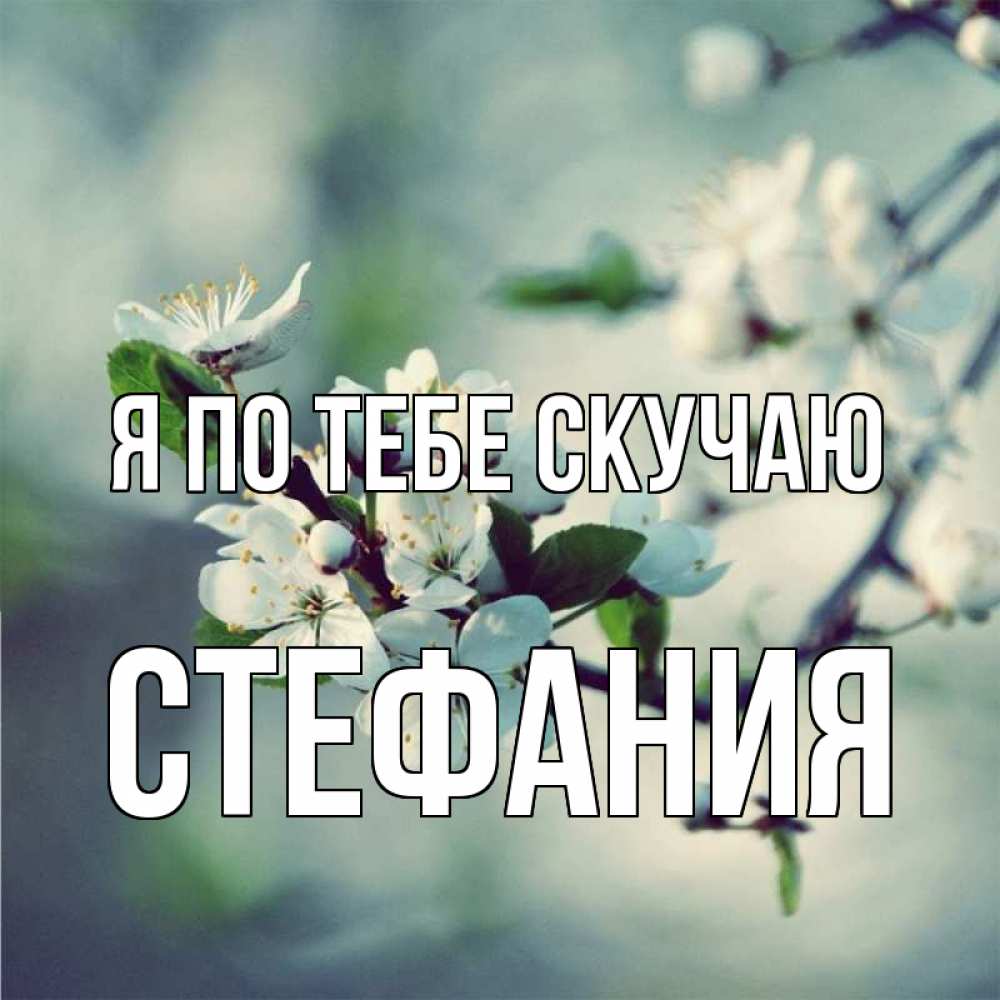Открытка на каждый день с именем, Стефания Я по тебе скучаю весна Прикольная открытка с пожеланием онлайн скачать бесплатно 