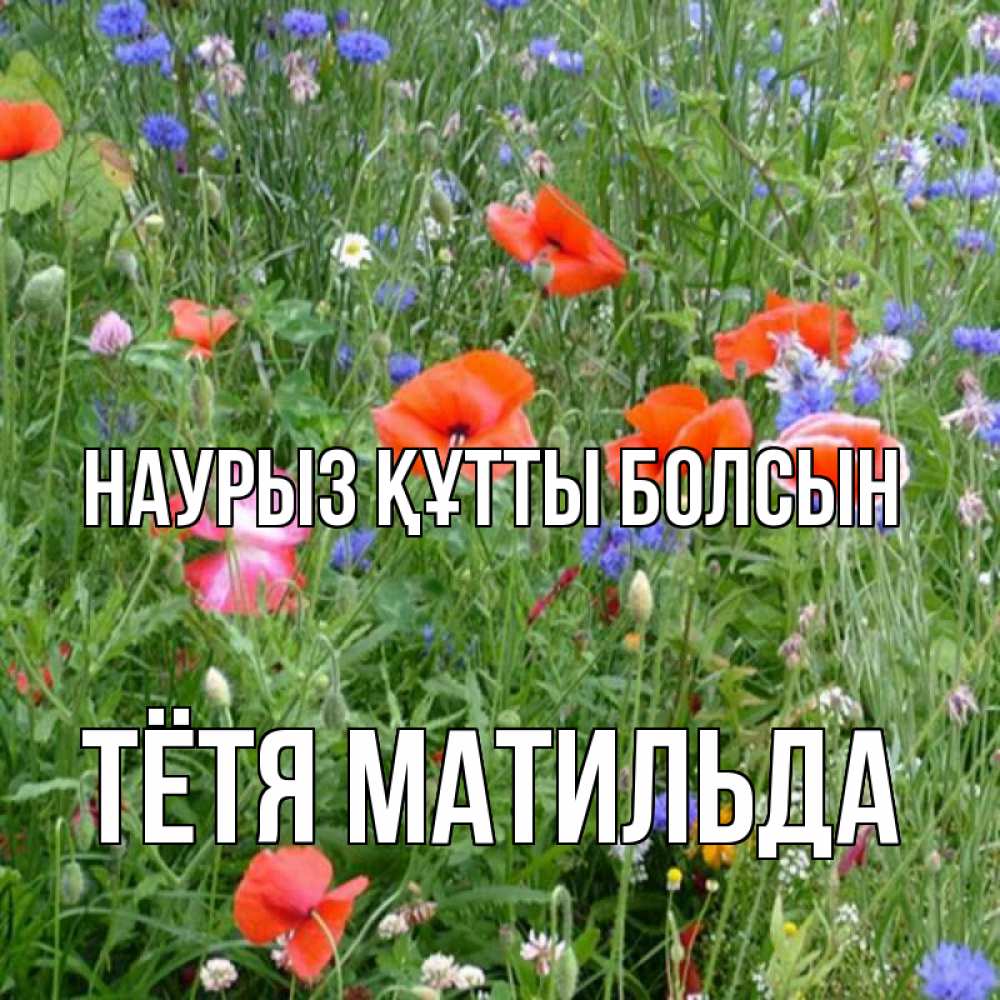 Открытка на каждый день с именем, Тётя-Матильда Наурыз құтты болсын наурыз  4 Прикольная открытка с пожеланием онлайн скачать бесплатно 