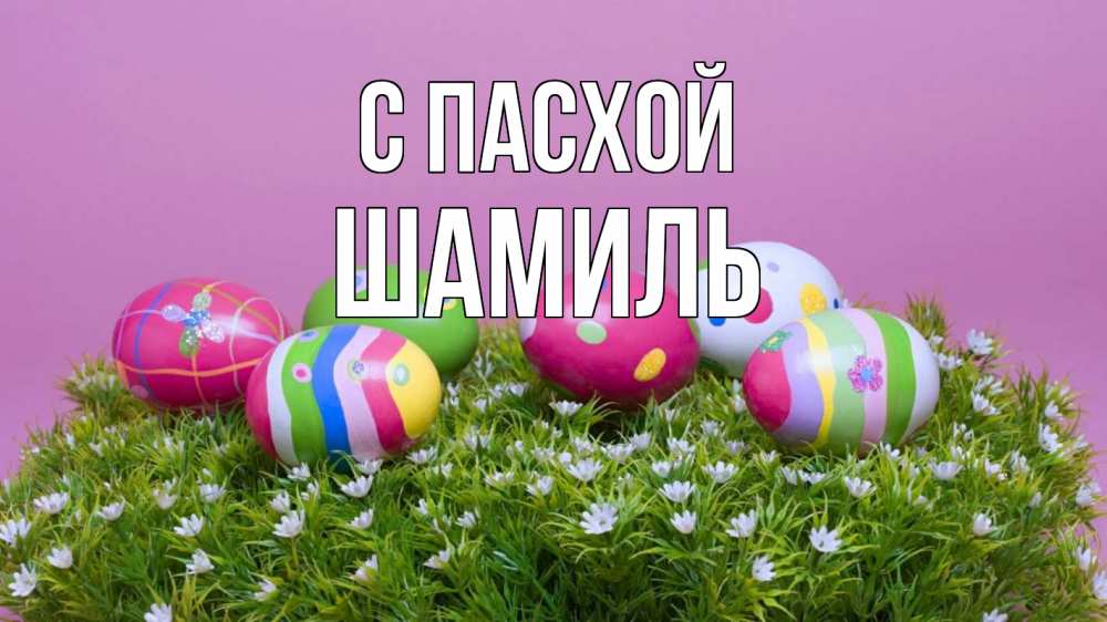 Открытка на каждый день с именем, Шамиль С пасхой пасха Прикольная открытка с пожеланием онлайн скачать бесплатно 