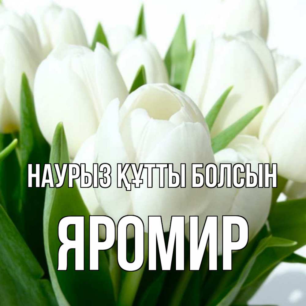 Открытка на каждый день с именем, Яромир Наурыз құтты болсын цветы Прикольная открытка с пожеланием онлайн скачать бесплатно 