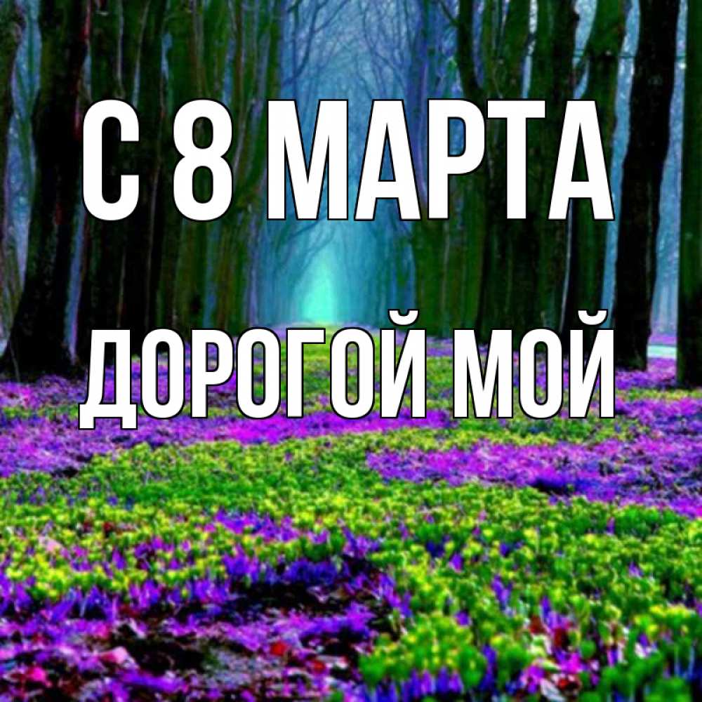 Открытка на каждый день с именем, Дорогой-мой С 8 МАРТА фиолетовые цветы в лесу 1 Прикольная открытка с пожеланием онлайн скачать бесплатно 
