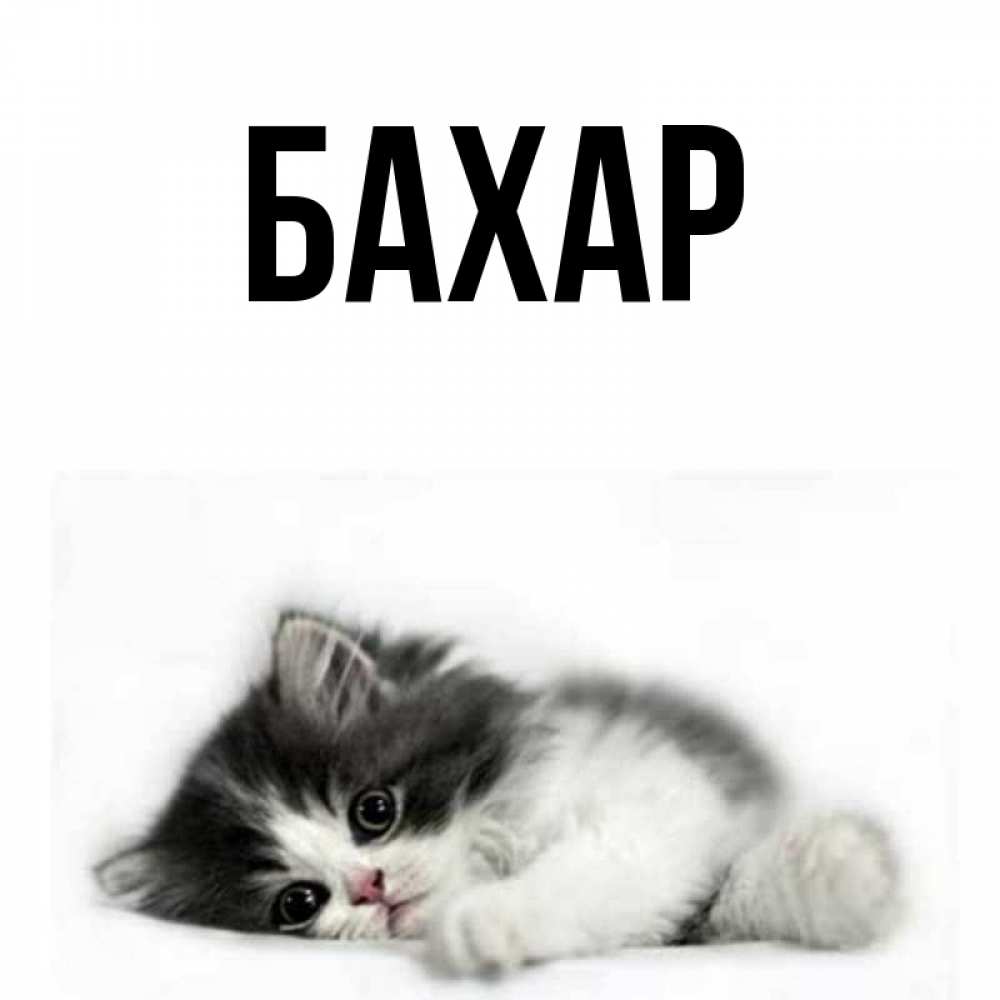 Картинка  с именем , Бахар