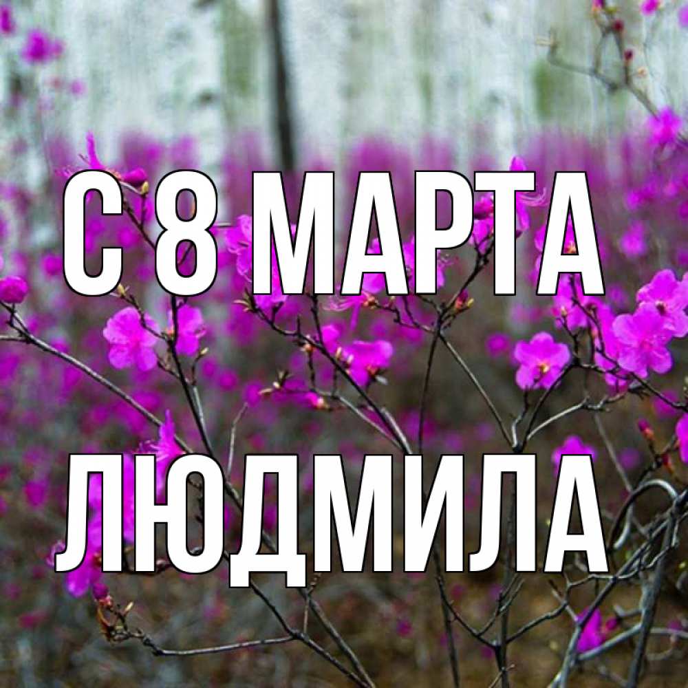 Открытка на каждый день с именем, людмила С 8 МАРТА дикие цветы Прикольная открытка с пожеланием онлайн скачать бесплатно 