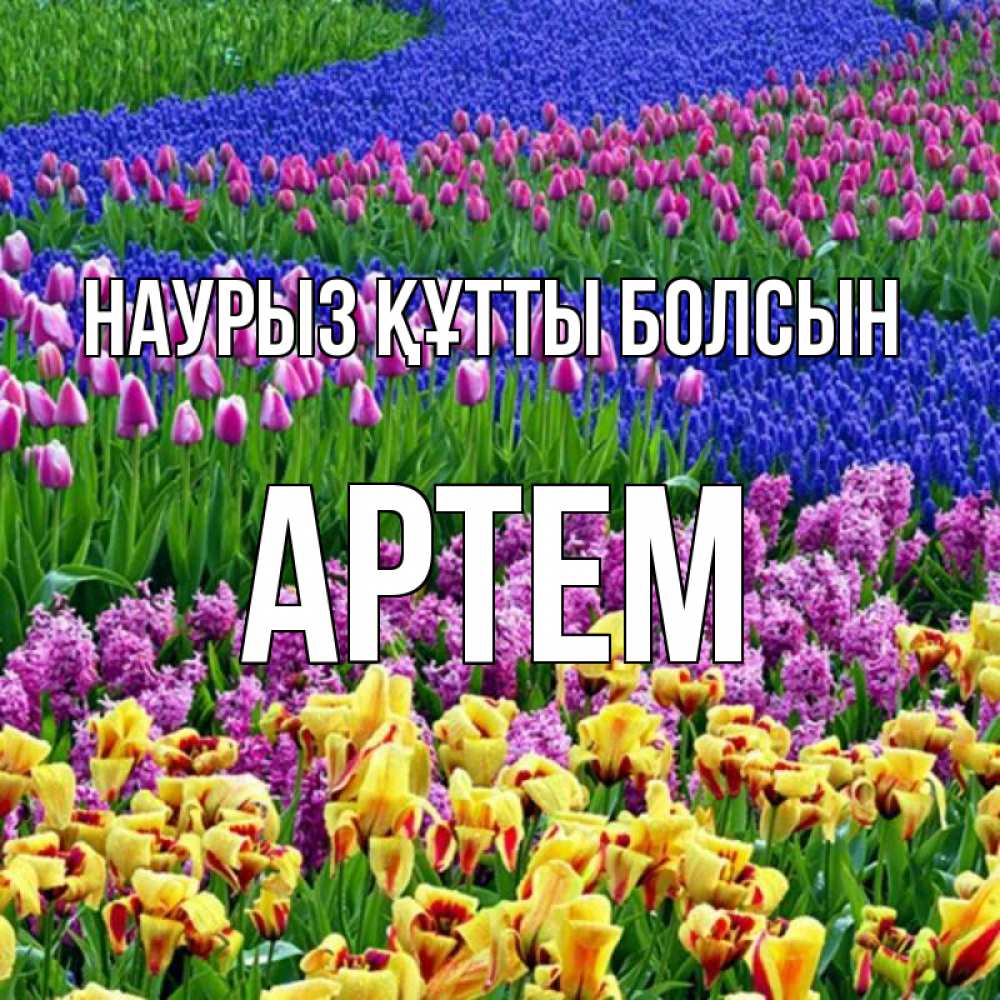 Открытка на каждый день с именем, Артем Наурыз құтты болсын цветы Прикольная открытка с пожеланием онлайн скачать бесплатно 