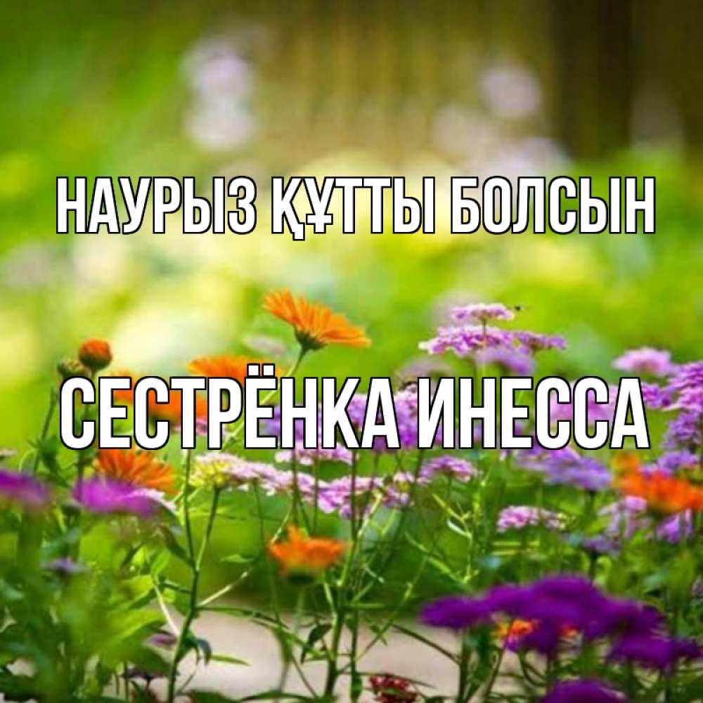 Открытка на каждый день с именем, Сестрёнка-Инесса Наурыз құтты болсын цветы Прикольная открытка с пожеланием онлайн скачать бесплатно 