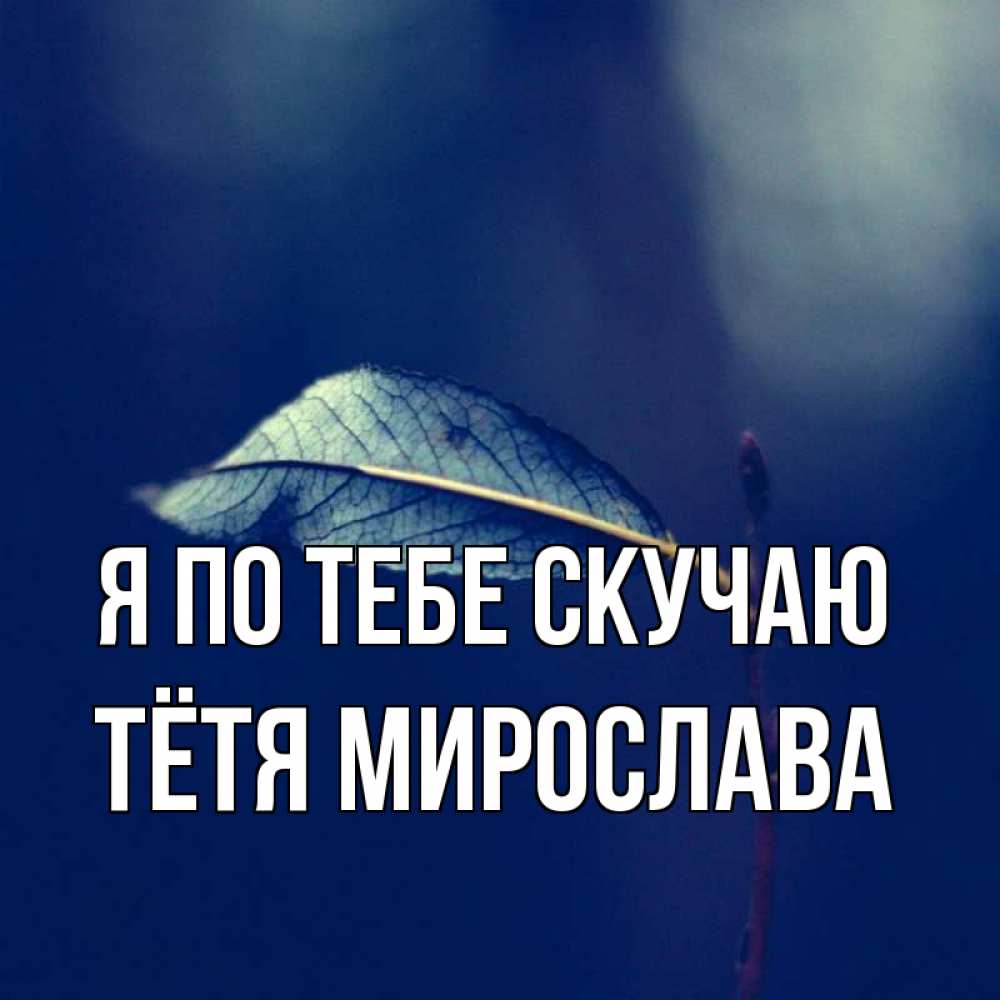Открытка на каждый день с именем, Тётя-Мирослава Я по тебе скучаю одна ветка 1 Прикольная открытка с пожеланием онлайн скачать бесплатно 
