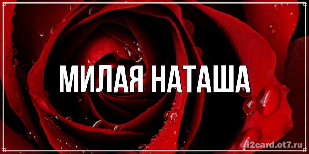 Главная Наташа Фото
