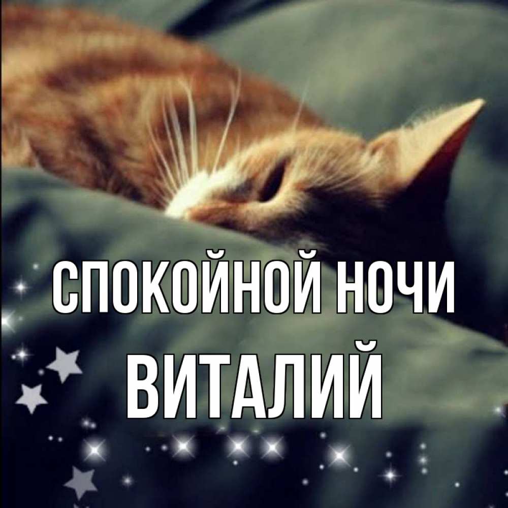 Картинки спокойной ночи красотка