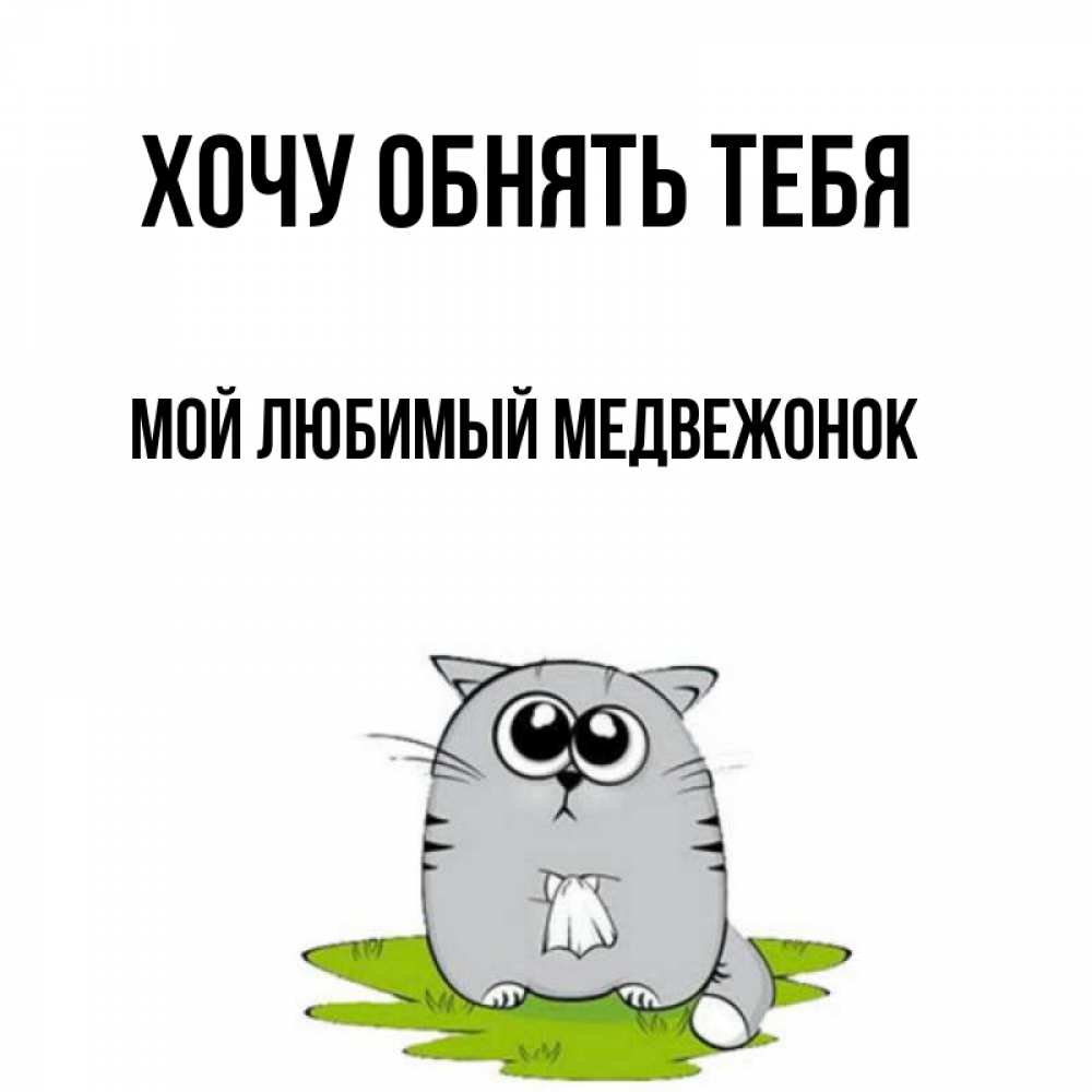 Читать мой любимый не медведь