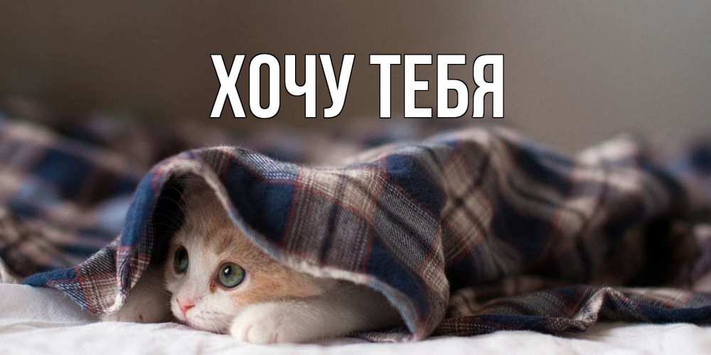 Картинка  с именем , Хочу тебя