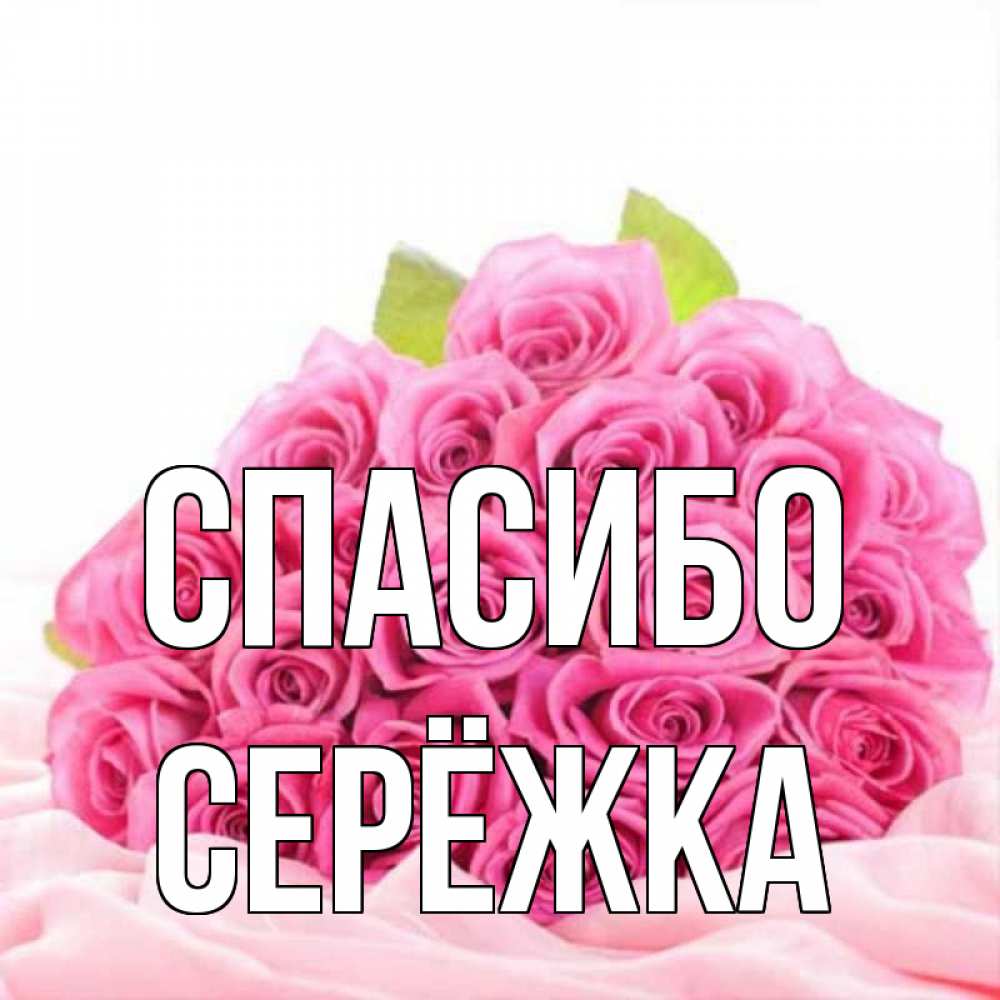 Картинка Спасибо, Серёжка