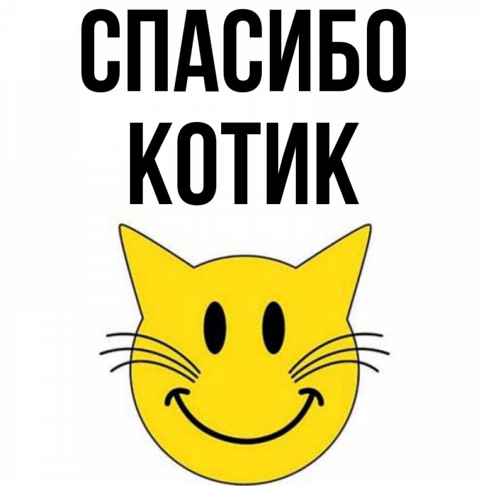 Котик спасибо