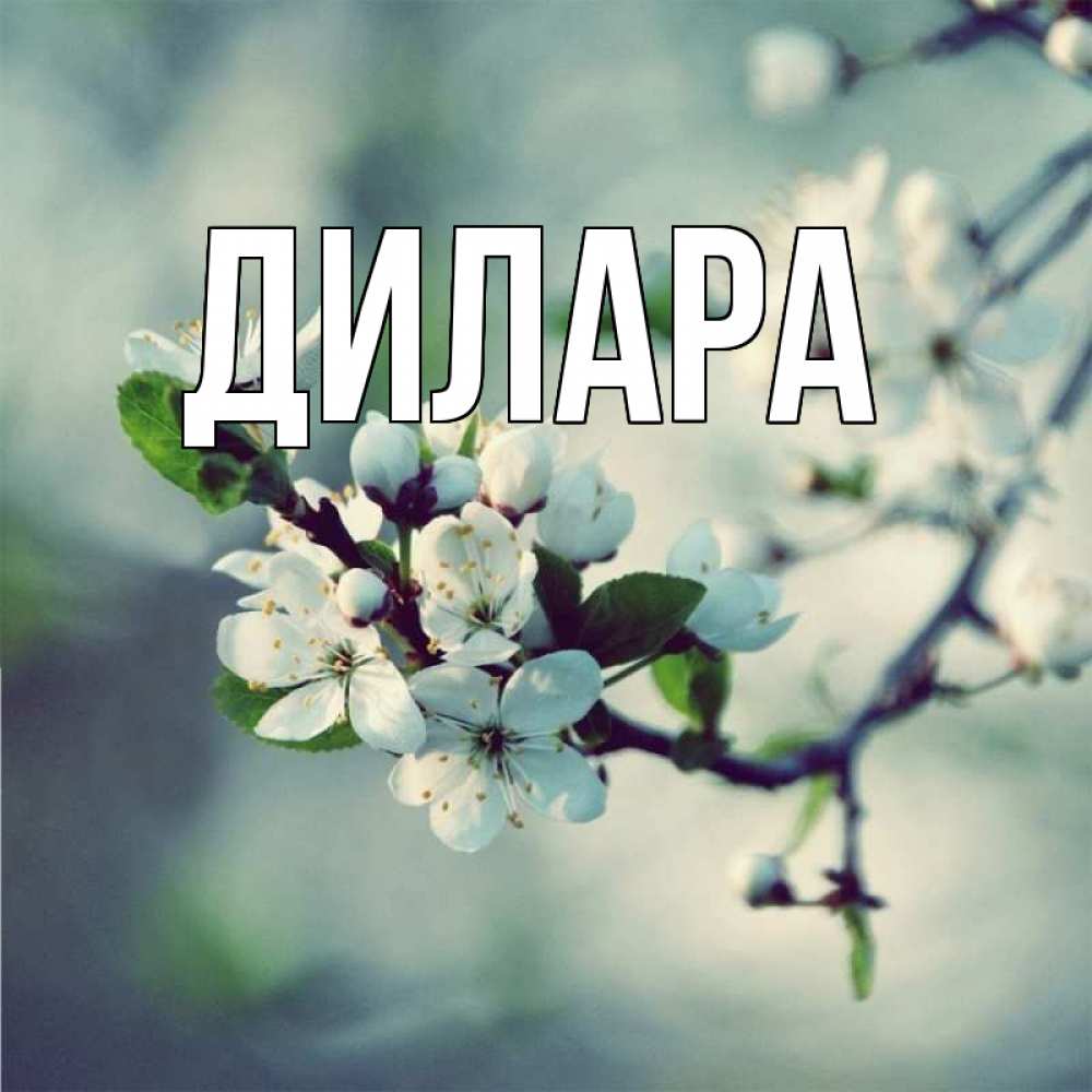 Открытка на каждый день с именем, Дилара Главная яблоня в цвету 1 Прикольная открытка с пожеланием онлайн скачать бесплатно 