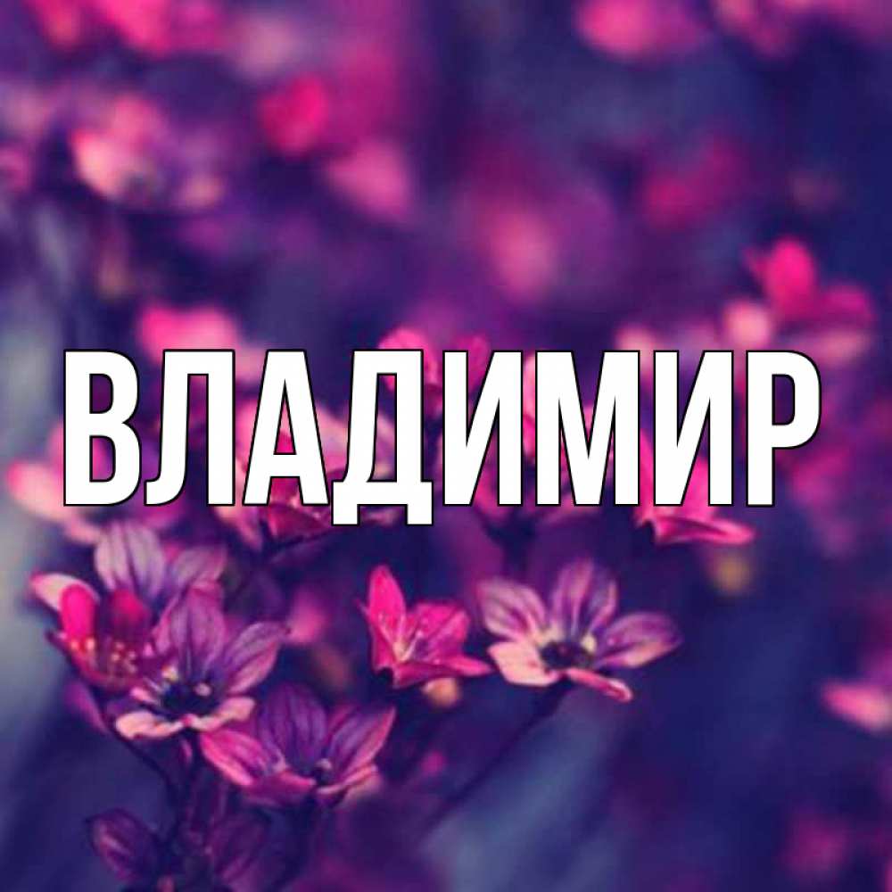 Открытка на каждый день с именем, Владимир Главная небольшие цветы 1 Прикольная открытка с пожеланием онлайн скачать бесплатно 