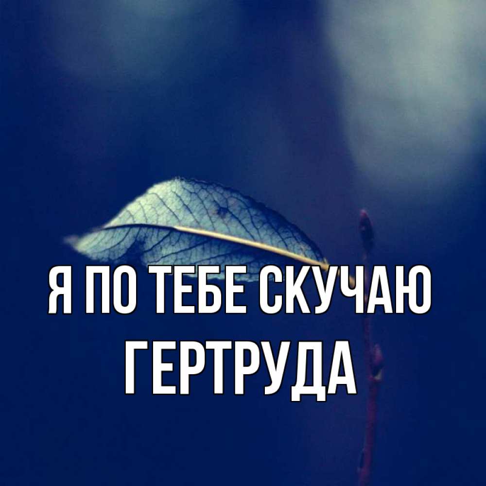 Открытка на каждый день с именем, Гертруда Я по тебе скучаю одна ветка 1 Прикольная открытка с пожеланием онлайн скачать бесплатно 