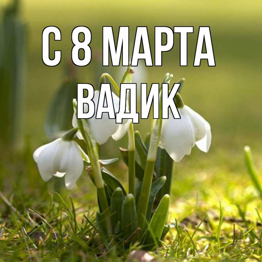 Открытка на каждый день с именем, Вадик С 8 МАРТА ранние цветы 2 Прикольная открытка с пожеланием онлайн скачать бесплатно 