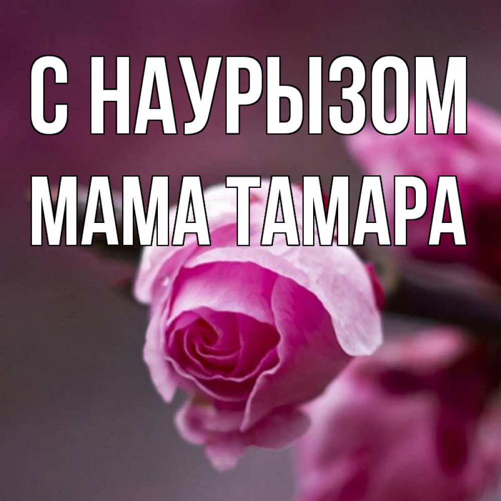 Открытка на каждый день с именем, Мама-Тамара С наурызом весна Прикольная открытка с пожеланием онлайн скачать бесплатно 