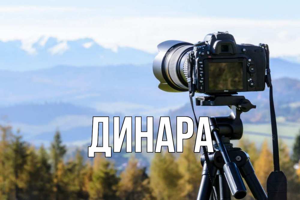 Открытка на каждый день с именем, Динара Главная с днем фотографа Прикольная открытка с пожеланием онлайн скачать бесплатно 