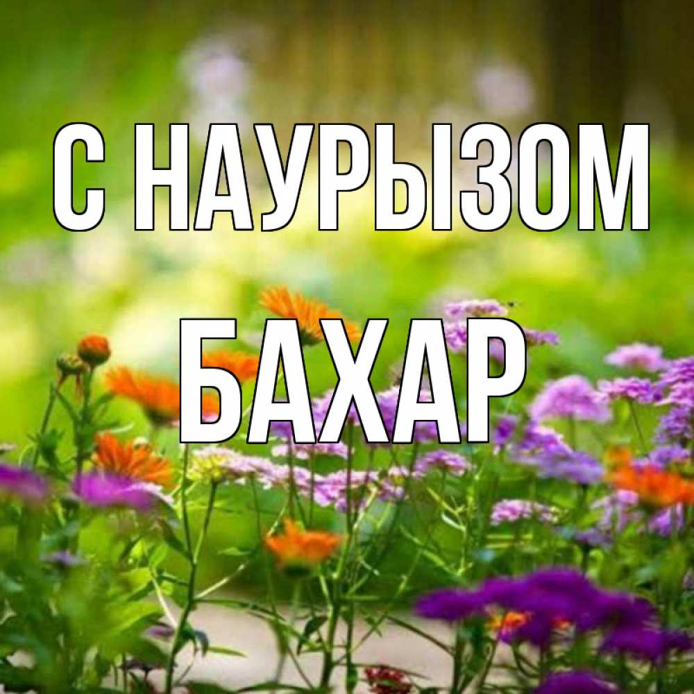 Картинка С наурызом, Бахар