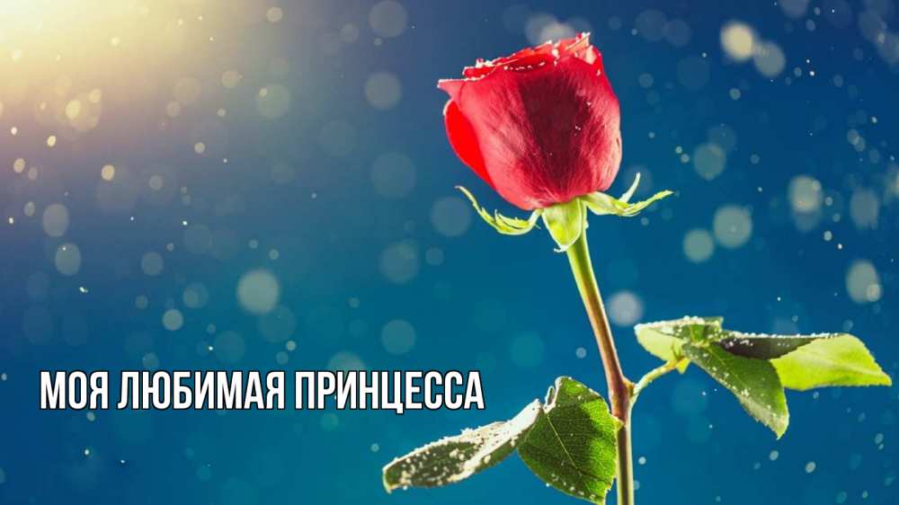 Картинка  с именем , Моя Любимая Принцесса