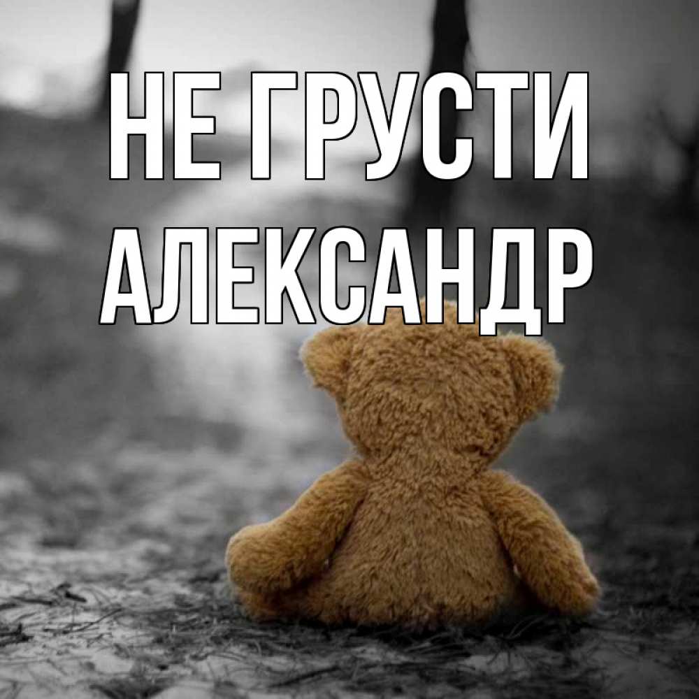 Открытка на каждый день с именем, Александр Не грусти медведь со спин Прикольная открытка с пожеланием онлайн скачать бесплатно 