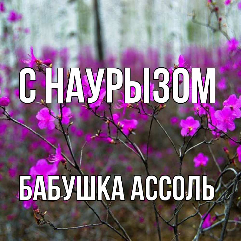 Открытка на каждый день с именем, Бабушка-Ассоль С наурызом дикие цветы Прикольная открытка с пожеланием онлайн скачать бесплатно 