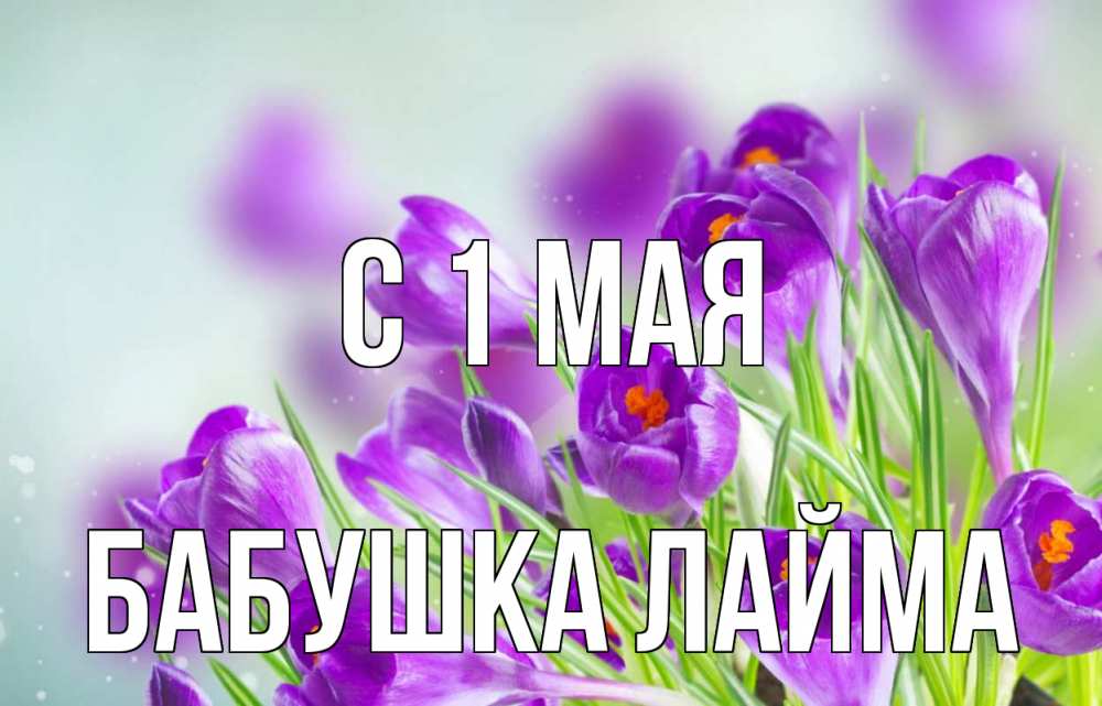 Открытка на каждый день с именем, Бабушка-Лайма С 1 мая 1 мая Прикольная открытка с пожеланием онлайн скачать бесплатно 