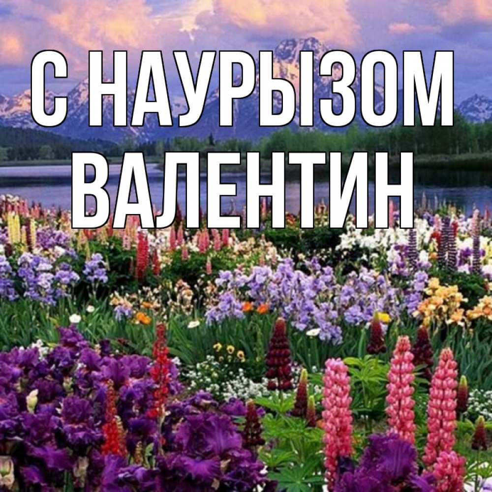 Открытка на каждый день с именем, Валентин С наурызом праздник весны наурыз Прикольная открытка с пожеланием онлайн скачать бесплатно 