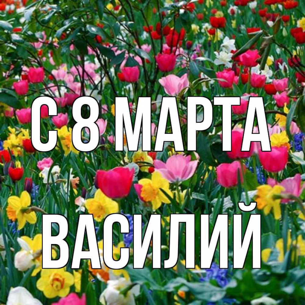 Открытка на каждый день с именем, Василий С 8 МАРТА с международным женским днем поздравления для женщины Прикольная открытка с пожеланием онлайн скачать бесплатно 