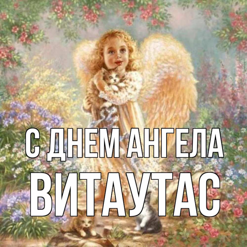 Открытка на каждый день с именем, Витаутас С днем ангела держит котенка Прикольная открытка с пожеланием онлайн скачать бесплатно 