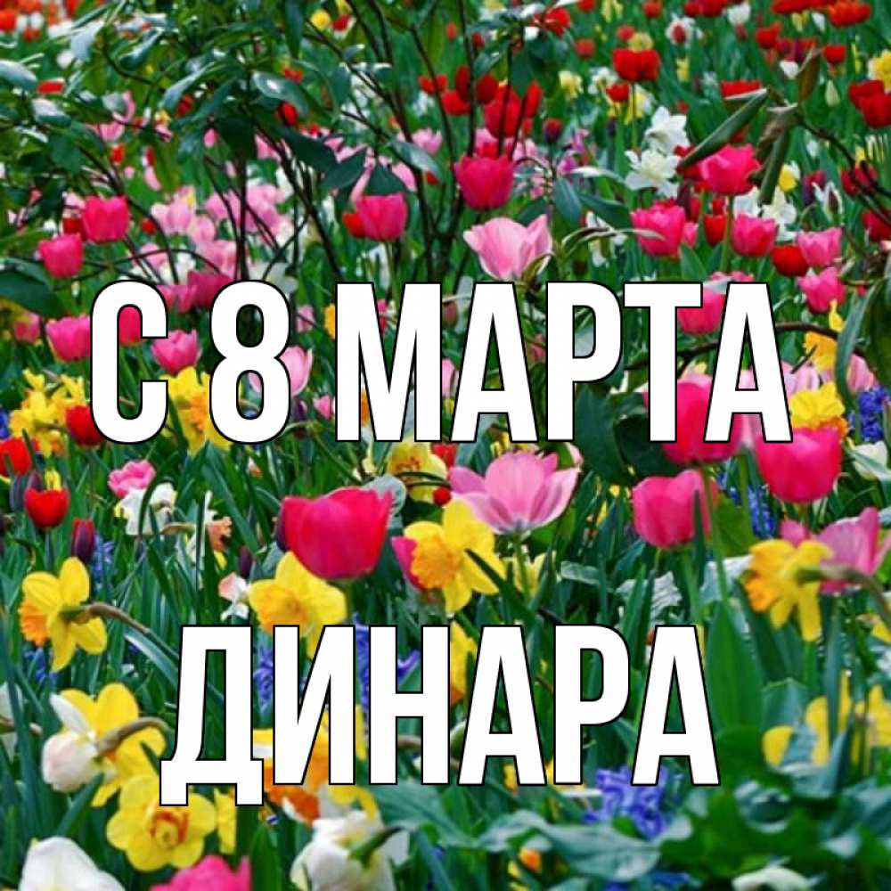 Открытка на каждый день с именем, Динара С 8 МАРТА с международным женским днем поздравления для женщины Прикольная открытка с пожеланием онлайн скачать бесплатно 