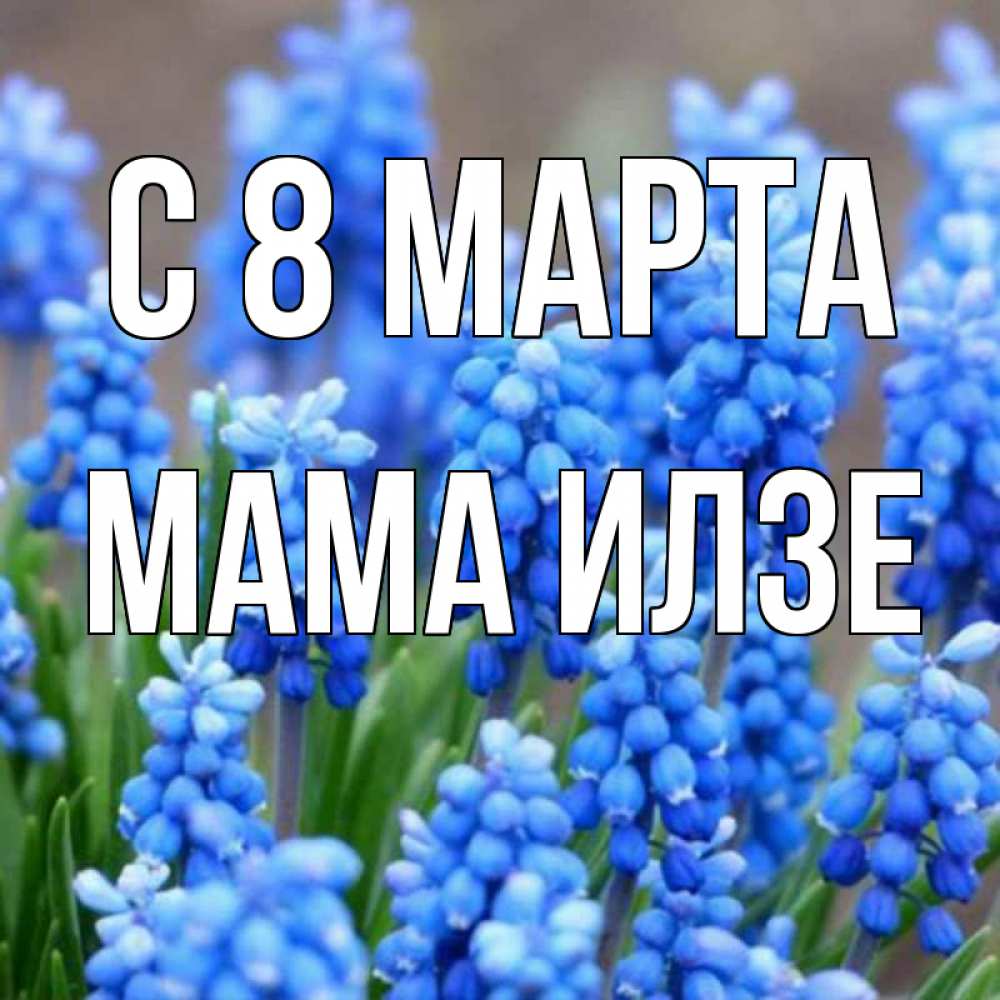 Открытка на каждый день с именем, Мама-Илзе С 8 МАРТА Поздравительная открытка для женщин с цветами на праздничную дату Прикольная открытка с пожеланием онлайн скачать бесплатно 