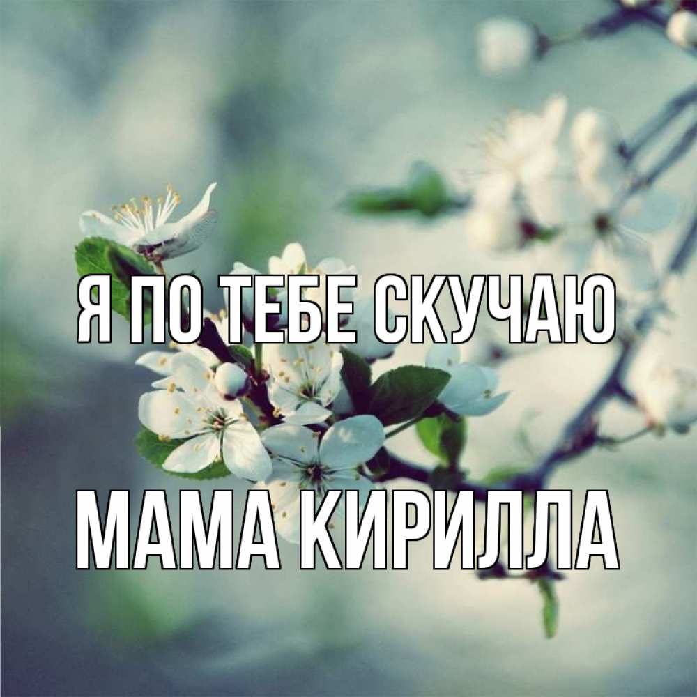 Открытка на каждый день с именем, Мама-Кирилла Я по тебе скучаю весна Прикольная открытка с пожеланием онлайн скачать бесплатно 