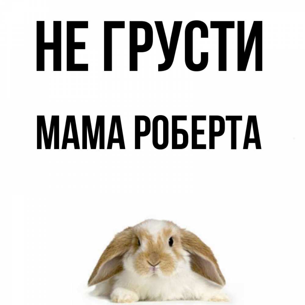 Открытка на каждый день с именем, Мама-Роберта Не грусти коричнево белый заяц с большими ушками Прикольная открытка с пожеланием онлайн скачать бесплатно 