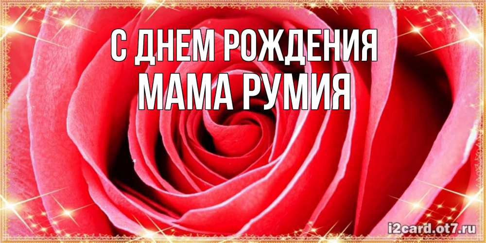 Открытка на каждый день с именем, Мама-Румия С днем рождения розовая роза очень крупный бутон Прикольная открытка с пожеланием онлайн скачать бесплатно 