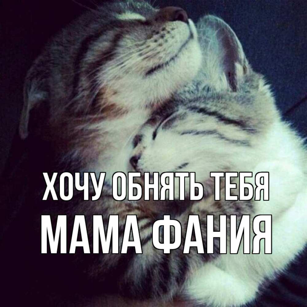 Открытка на каждый день с именем, Мама-Фания Хочу обнять тебя полосатики Прикольная открытка с пожеланием онлайн скачать бесплатно 