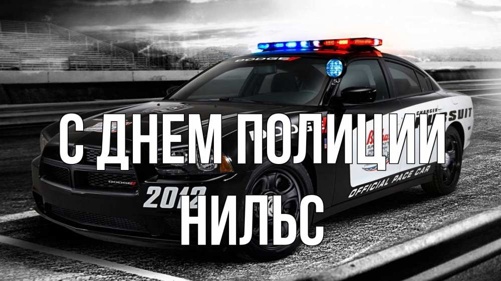 Открытка на каждый день с именем, Нильс С днем полиции полиция Прикольная открытка с пожеланием онлайн скачать бесплатно 